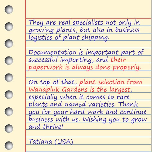 paper1