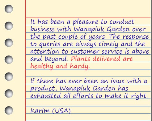 paper1